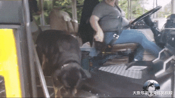 狗狗接小主人放学，车门刚打开就跳上去，狗：等你很久了