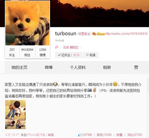 孙俪鼓励收养流浪狗，你的善良是真心还是假意？“领养代替购买”对还是不对？