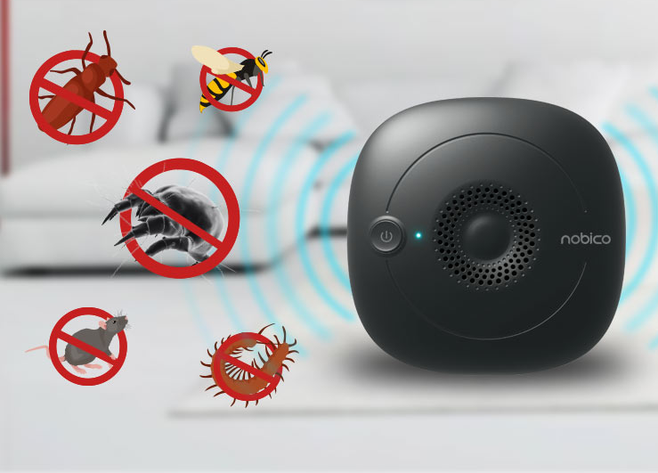 拜拜了螨虫，1个土法子，睡前用一用，只 要2天就把螨虫斩草除根