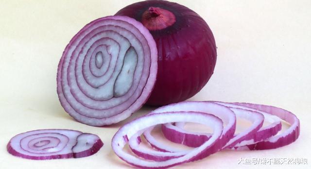 喂食狗狗绝对不能有的5种东西，主人可要长点心