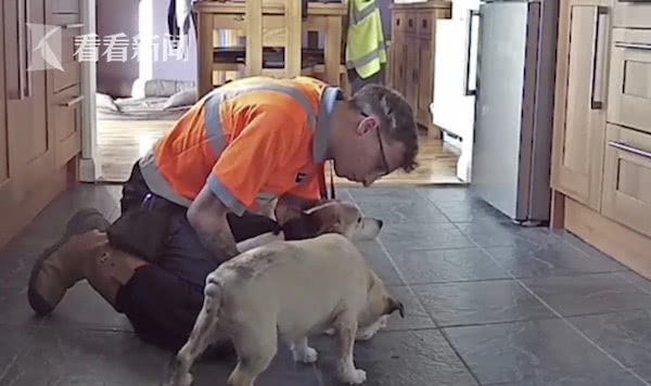 狗狗吃东西被噎致窒息，万幸主人还当过救生员！