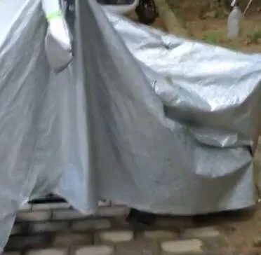 转身出来车就被猫强占了，最可怕的是，这是什么巨型猫咪？