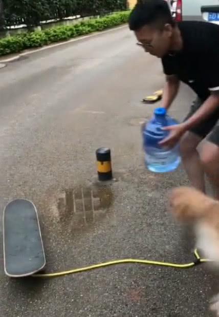 狗狗下楼帮主人运水, 看到泰迪之后就浪了, 主人: 把我的脸都丢了