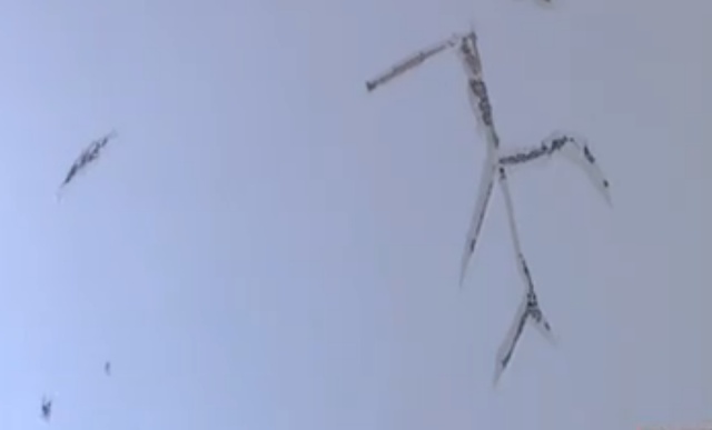 万科精装修交房半年 墙面裂成“蜘蛛网”