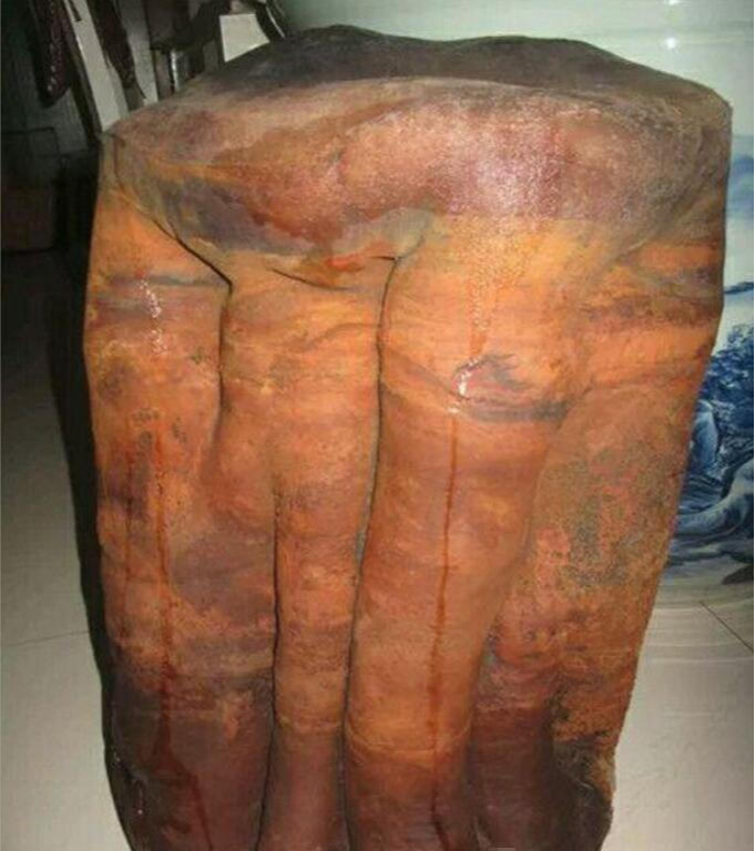 村民挖出“千年怪物”，专家前来查看，得出结论后村民乐开了花！