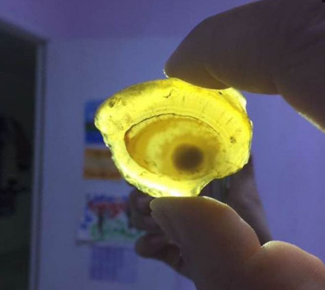 男子捡到“独眼”怪石，专家鉴定之后，专家：太幸运啦