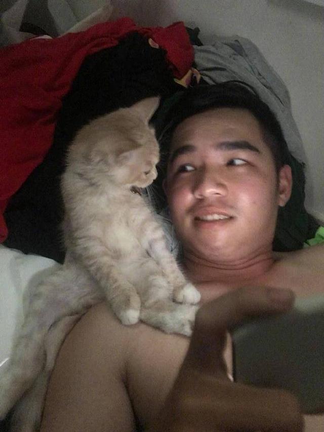 男主让猫咪一起追剧，五分钟还不到就对上眼，一看表情忍不住笑了