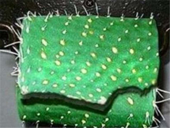 世界上“最奇葩”的卫生纸，图1不敢用，最后一个用不起！