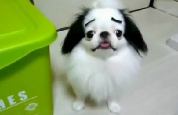 我做错了什么，要这样对我，没脸见人了