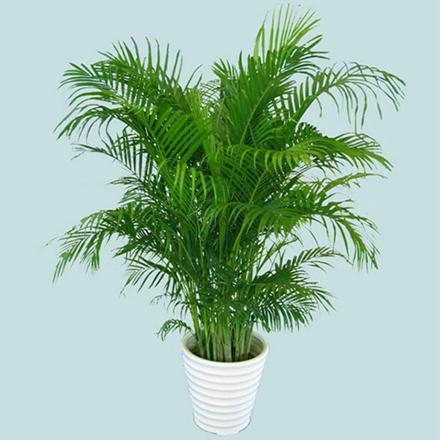 新家装修时，最好少使用这2种装修材料，都是甲醛“制造者”！