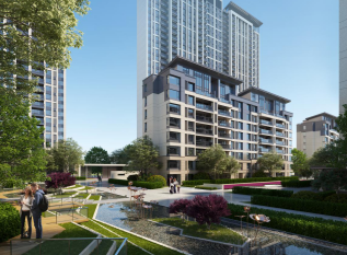 奥体板块现象级开盘，热销解密