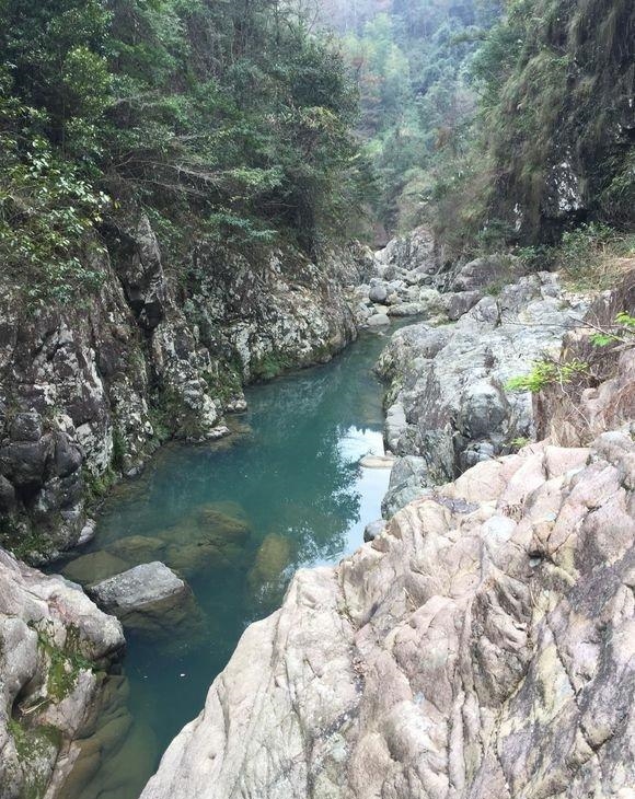 『娃娃鱼』这是娃娃鱼吗？山涧钓鱼，水底全是“四脚兽”，一小时钓了十几条