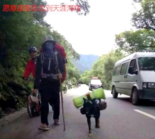 跟随主人走完川藏线，狗狗的毅力令人佩服，但铲屎官其实更赞
