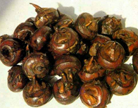 年夜饭桌上必备的5道美食