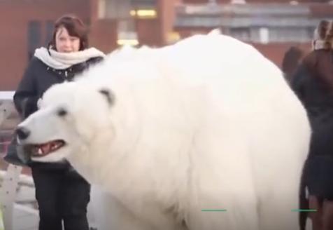 俄罗斯女子牵着宠物逛街，路人看到后，纷纷退避