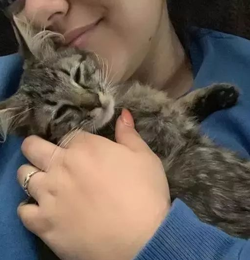 遛狗路上被街猫盯上，主人不得不花钱摆平这只猫，才能顺利回家