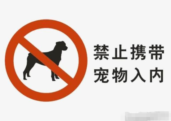 女子在餐馆拿公共餐具喂狗，网友：餐具被狗舔过，别人还能用吗？