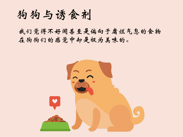 爱宠每日一问：食肉的猫咪，为何爱吃猫粮不吃肉？和诱食剂有关