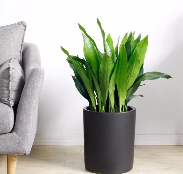 搬家后这三种情况要注意，说明甲醛堆积到临界，不治理隐患大！