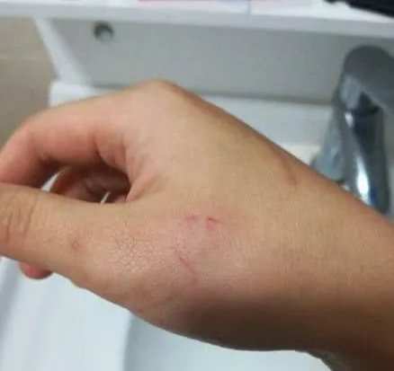 大型实力劝退养猫场面，看得我的心脏都快受不了啦