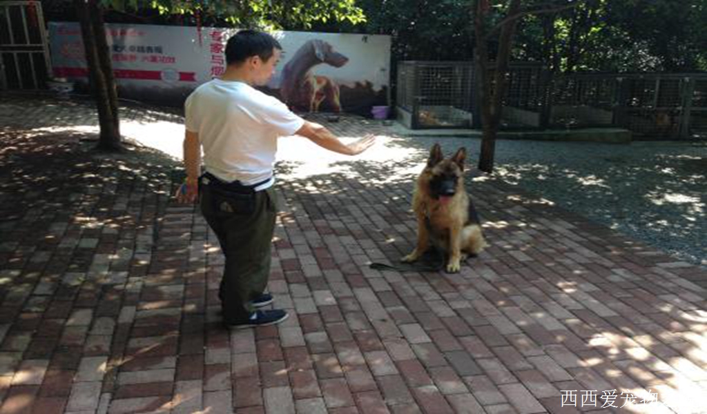 传统训练的方法和正向训练的方法的区别