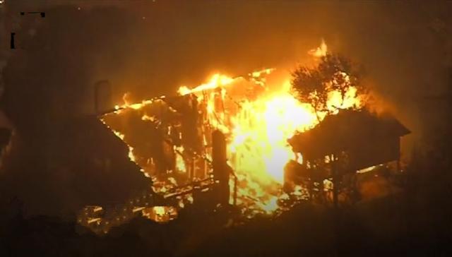 狗狗火灾中艰难逃生，在废墟中等待主人月余，终于在家门口相逢！