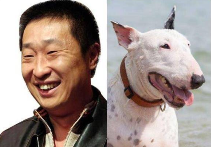 你看我像明星不 ????