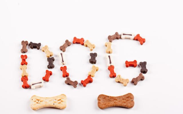 并不是所有的狗都适合补钙！怎么给狗狗科学补钙？