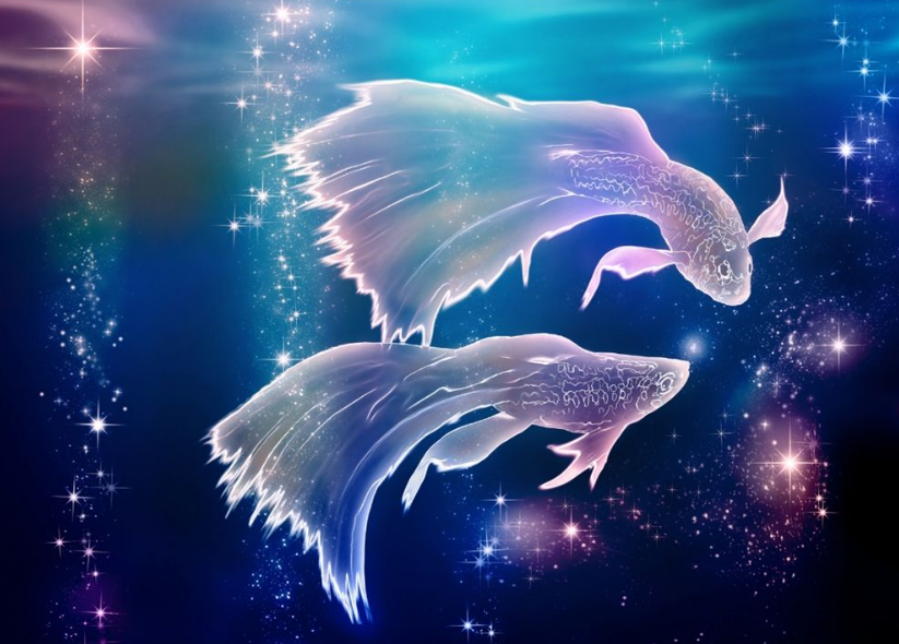 据说这三种星座，最吸引男孩子！