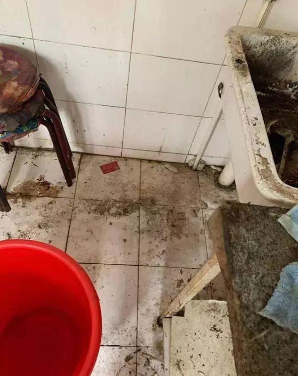 吐了！租客走后，房东进门一看简直要疯！然而还有更令人崩溃的事