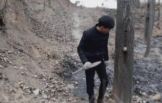 小伙发现树上长羽毛，伸手一扯被咬了，仔细一看兴奋不已