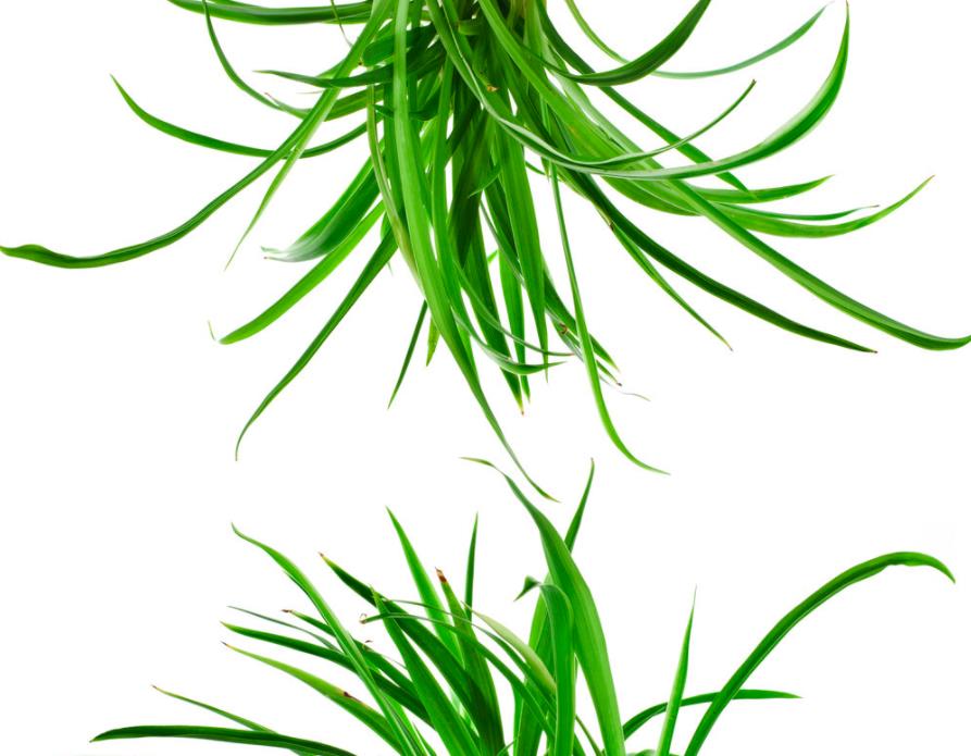 除醛的误区有哪些，你有所了解么？有效的方法又是哪些呢？