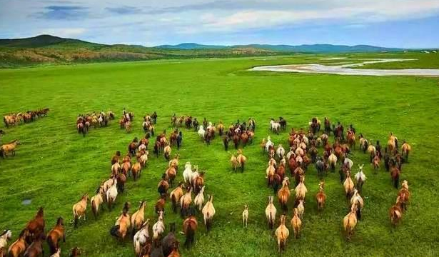 外蒙古脱离中国快满百年, 现在发展成什么样了? 说出来无法相信