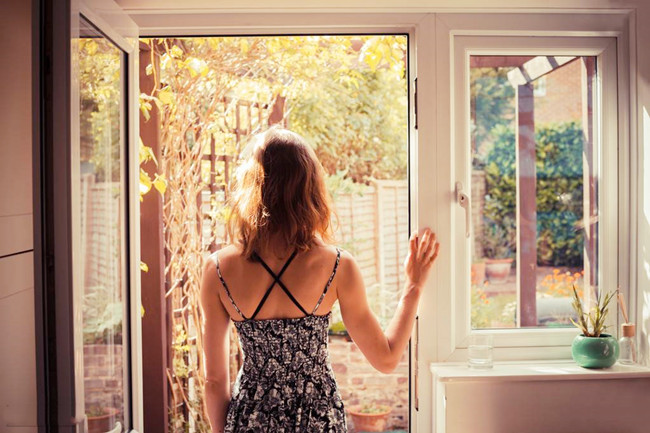 搬进新家后，家中的植物莫名枯萎了，原来是甲醛超标在作怪！