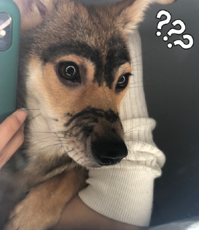 我做错了什么，要这样对我，没脸见人了