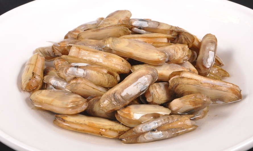 ?做蛏子时不要焯水，很多人都做错了，这样就白白浪费了