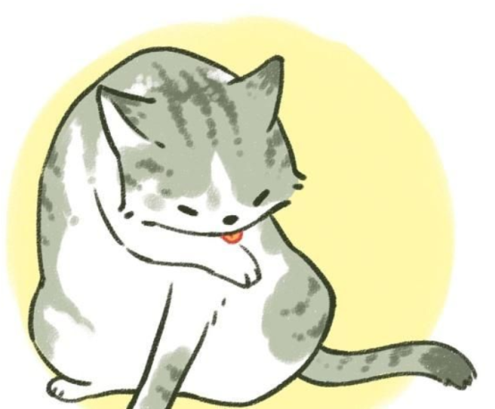 辟谣：猫咪舔毛只是为了清洁身体？不，还有这4点隐藏在其背后
