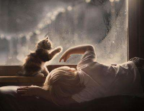 每天吸猫PK偶尔呼吸PM2.5超标的空气，哪个对肺危害更大？