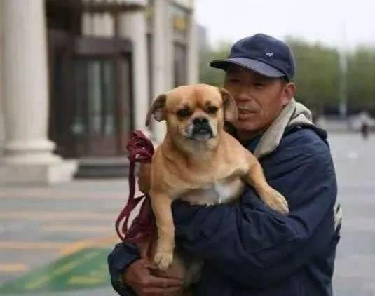 清洁工爷爷捡了一只流浪狗，每天分狗一口饭，于是狗狗知恩图报