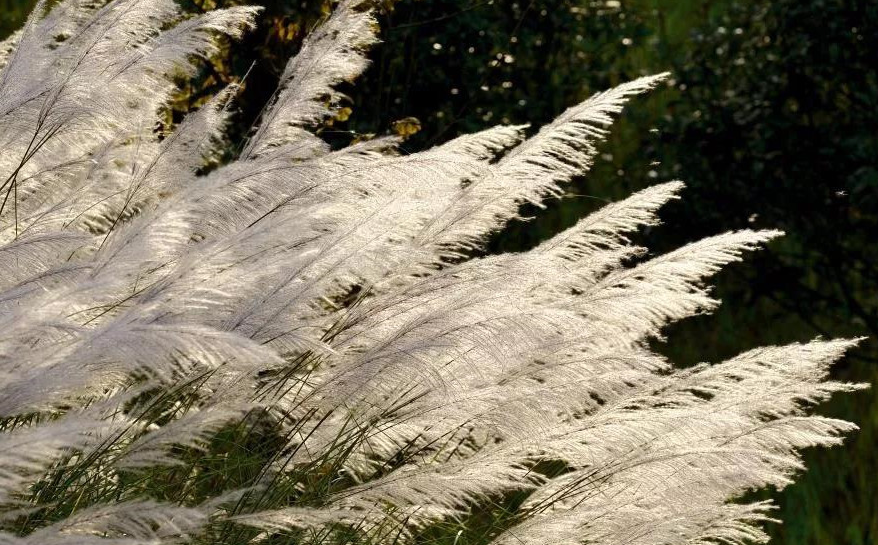 这里出现了一个又一个爆款秋景，个个惊艳，赶紧去看看吧！