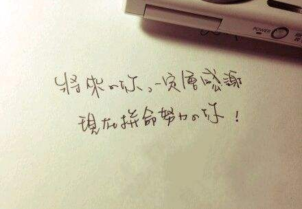 当你迷茫的时候，不妨静下心，读读这些好书