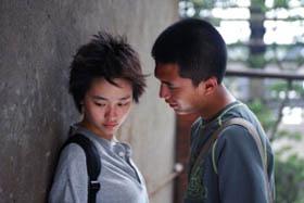 校园里种着十三棵泡桐树，那代表着努力生长，也代表着青春的意义