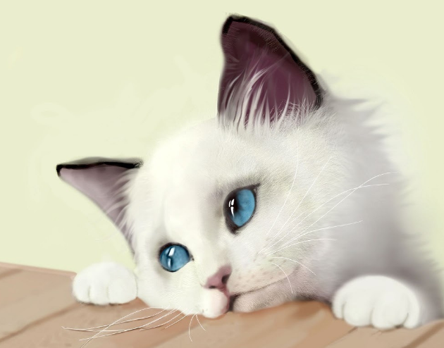 家里的猫咪爱咬人？铲屎官得了解它咬人的原因，再耐心的教育它