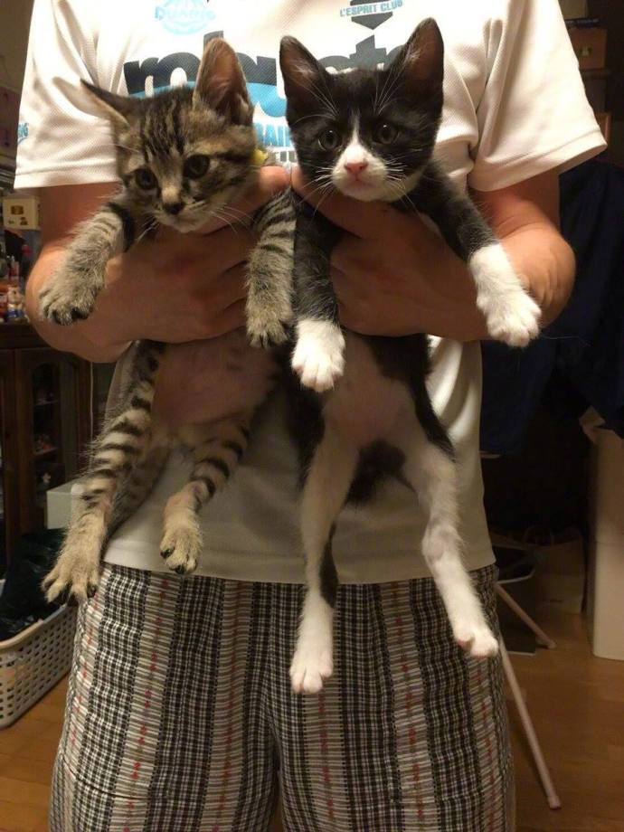 是你自己选的困难模式，不怪我