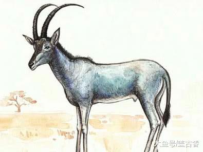 那些被“一锅端”的生物，它们的灭族之灾无一例外：贪婪的狩猎者