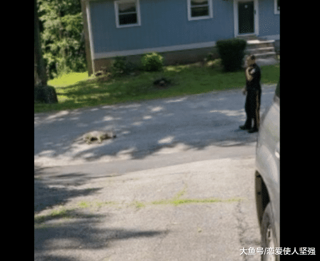 居民怀疑自己邻居的狗狗会咬人，警察到场当场击毙：我有叫它后退！