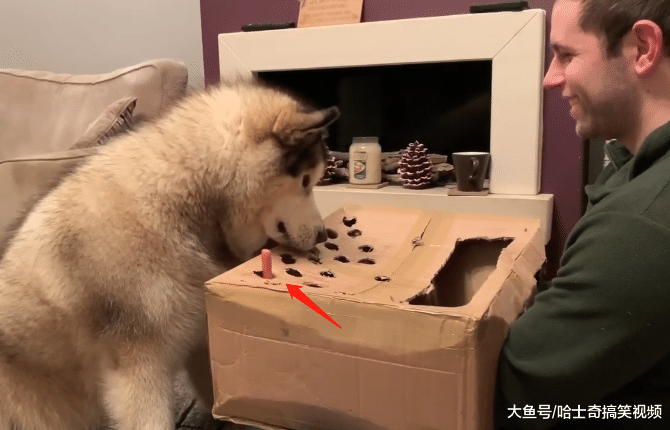 担心“胖儿子”无聊, 小哥做了个道具, 结果用不到几分钟