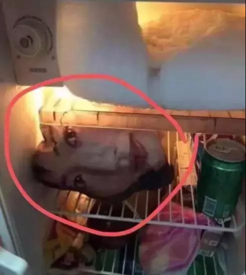 女朋友送了我一双假AJ后，结果没想到精彩的一幕发什了！