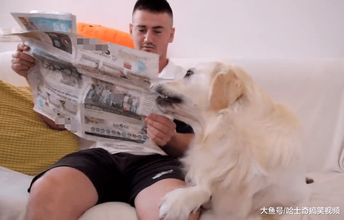 男子有了女友后，金毛开始“报复”主人，钱包赶紧放好了