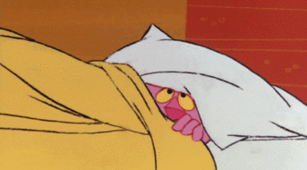 夏天到了，铲屎官千万不要在家里用这个